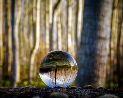 επιστροφή στον εαυτό, αντανάκλαση δάσους σε γυάλινη σφαίρα